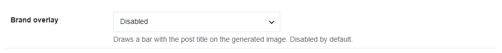 Post-Processing Image — Brand overlay set to Disabled